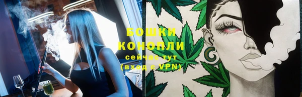 не бодяженный Ладушкин