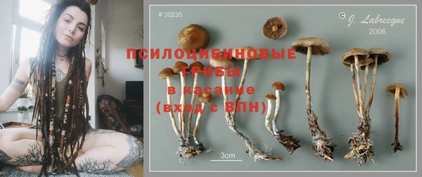 альфа пвп Лагань