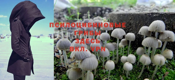 прущая мука Лабытнанги