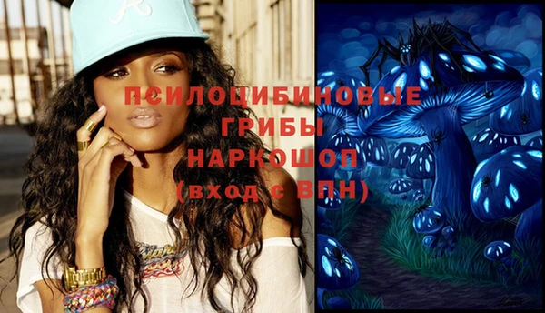 не бодяженный Ладушкин